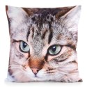 Poszewka dekoracyjna 45x45 Animal 67 Kotek Eurofirany Poszewka dekoracyjna 45x45 Animal 67 Kotek Eurofirany
