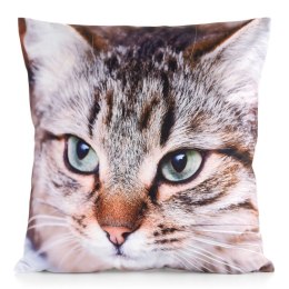 Poszewka dekoracyjna 45x45 Animal 67 Kotek Eurofirany