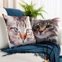Poszewka dekoracyjna 45x45 Animal 67 Kotek Eurofirany Poszewka dekoracyjna 45x45 Animal 67 Kotek Eurofirany