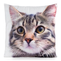 Poszewka dekoracyjna 45x45 Animal 71 Kotek Eurofirany