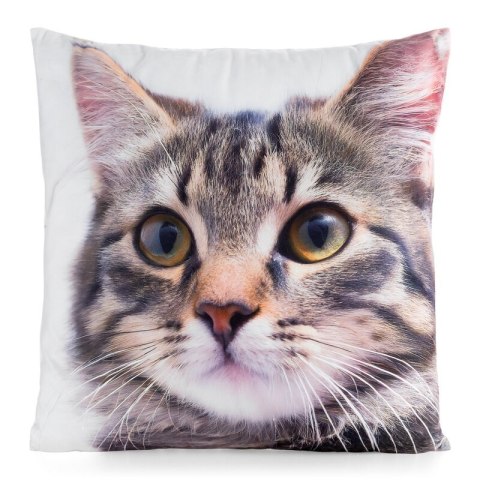Poszewka dekoracyjna 45x45 Animal 71 Kotek Eurofirany Poszewka dekoracyjna 45x45 Animal 71 Kotek Eurofirany