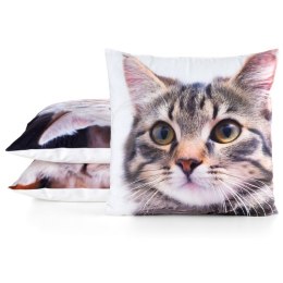 Poszewka dekoracyjna 45x45 Animal 71 Kotek Eurofirany