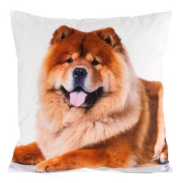 Poszewka dekoracyjna 45x45 Animal 73 Piesek Eurofirany