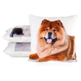 Poszewka dekoracyjna 45x45 Animal 73 Piesek Eurofirany