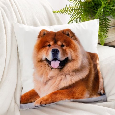 Poszewka dekoracyjna 45x45 Animal 73 Piesek Eurofirany Poszewka dekoracyjna 45x45 Animal 73 Piesek Eurofirany