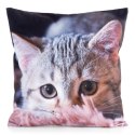 Poszewka dekoracyjna 45x45 Animal 75 Kotek Eurofirany Poszewka dekoracyjna 45x45 Animal 75 Kotek Eurofirany
