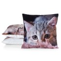 Poszewka dekoracyjna 45x45 Animal 75 Kotek Eurofirany Poszewka dekoracyjna 45x45 Animal 75 Kotek Eurofirany