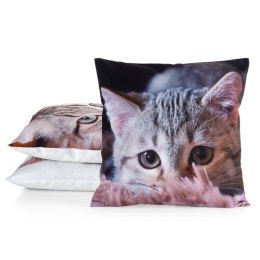 Poszewka dekoracyjna 45x45 Animal 75 Kotek Eurofirany