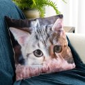 Poszewka dekoracyjna 45x45 Animal 75 Kotek Eurofirany Poszewka dekoracyjna 45x45 Animal 75 Kotek Eurofirany