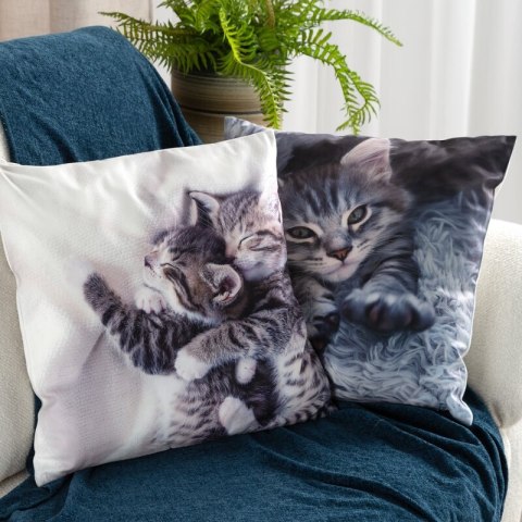 Poszewka dekoracyjna 45x45 Animal 76 Kotek szara Eurofirany Poszewka dekoracyjna 45x45 Animal 76 Kotek szara Eurofirany
