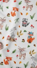 Poszewka bawełniana 50x60 zwierzęta dziecięca zapinana na suwak 3713 B KARO Kraina Snów Poszewka bawełniana 50x60 zwierzęta dziecięca zapinana na suwak 3713 B KARO Kraina Snów