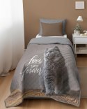 Narzuta młodzieżowa 170x210 kot K 76 Bedspread 05 Narzuta młodzieżowa 170x210 kot K 76 Bedspread 05