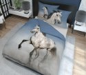 Pościel bawełniana 160x200 koń 3734 A 2 poszewki 70x80 Holland Natura 69 Pościel bawełniana 160x200 koń 3734 A 2 poszewki 70x80 Holland Natura 69