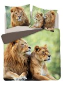 Pościel bawełniana 220x200 lew 3728 A 2 poszewki 70x80 Holland Natura 69 Pościel bawełniana 220x200 lew 3728 A 2 poszewki 70x80 Holland Natura 69
