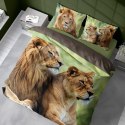 Pościel bawełniana 220x200 lew 3728 A 2 poszewki 70x80 Holland Natura 69 Pościel bawełniana 220x200 lew 3728 A 2 poszewki 70x80 Holland Natura 69