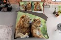 Pościel bawełniana 220x200 lew 3728 A 2 poszewki 70x80 Holland Natura 69 Pościel bawełniana 220x200 lew 3728 A 2 poszewki 70x80 Holland Natura 69
