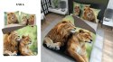Pościel bawełniana 220x200 lew 3728 A 2 poszewki 70x80 Holland Natura 69 Pościel bawełniana 220x200 lew 3728 A 2 poszewki 70x80 Holland Natura 69
