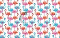 Pościel bawełniana 100x135 1400E biała flamingi kolorowe wakacyjny wzór 120N Pościel bawełniana 100x135 1400E biała flamingi kolorowe wakacyjny wzór 120N