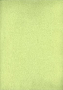 Prześcieradło flanelowe 160x200 seledynowe 12 jednobarwne